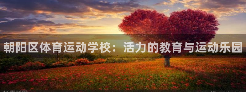 注册米兰体育官方正版app:朝阳区体育运动学校:活力的教育与